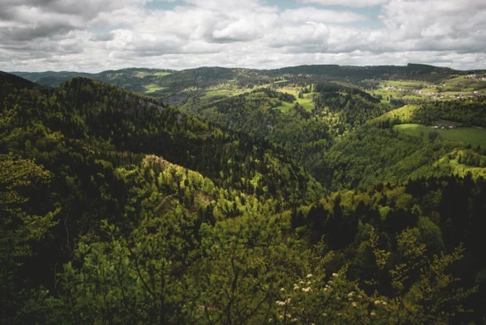 Au début, c'est vraiment une petite balade pépère en légère détente. Après quelques mètres déjà, un premier point de vue s'ouvre sur les collines bombées, généreusement garnies par les feuillages printaniers.