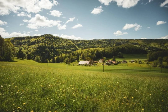 Juste après le parking de l'auberge, on emprunte un petit sentier qui monte gentiment vers la droite. Il nous mène vers une ferme dans un vaste pâturage. Ici, un panneau indique la présence de vaches-mères. Heureusement, il est possible de passer de l'autre côté des fils pour longer le sentier pédestre dans le champ. Les vaches et leurs petits nous suivent, mi-curieuses, mi-inquiètes. Jim ne fait pas le malin et reste tranquillement au pied. Une fois les vaches dépassées, c'est l'heure d'un petit casse-croûte improvisé pour mon compagnon !