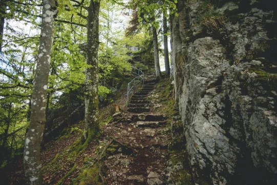 Après ce dernier petit raidillon, nous voilà sur le chemin du point de vue qu'on atteint par une succession de marches le long des roches.