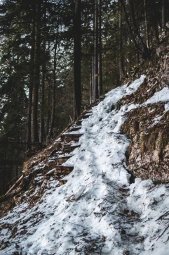 Nous revenons sur nos pas et entamons la descente, hélas, à l'ombre. Un panneau nous avertit à nouveau qu'il faudrait éviter de s'y risquer en hiver. Quelques passages sont délicats avec la neige accumulée sur le chemin mais finalement rien d'infranchissable.