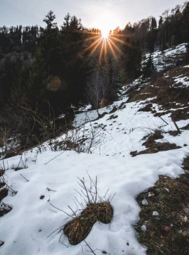 Et enfin, le soleil nous revient (timidement, certes, mais il est là !)