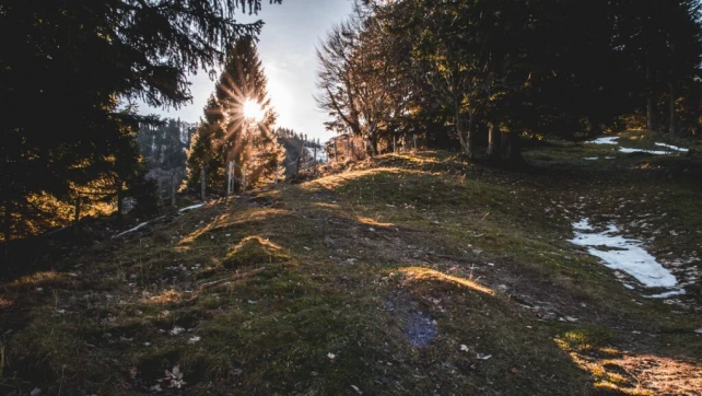 Dernier petit bout à travers les pâturages avant de regagner le parking.