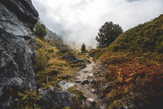 Et là, les couleurs reviennent petit à petit, la brume se fend pour laisser passer quelques rais de soleil dans une ambiance asiatique. Peut-être la Chine ou le Vietnam ?