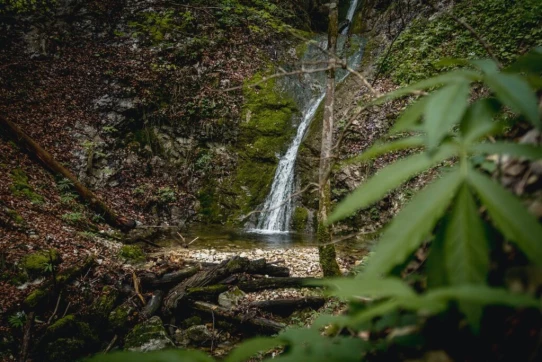 Une dernière petite photo...
Et nous voilà de retour au parking, ravis et impatients d'aller manger un bon petit plat !