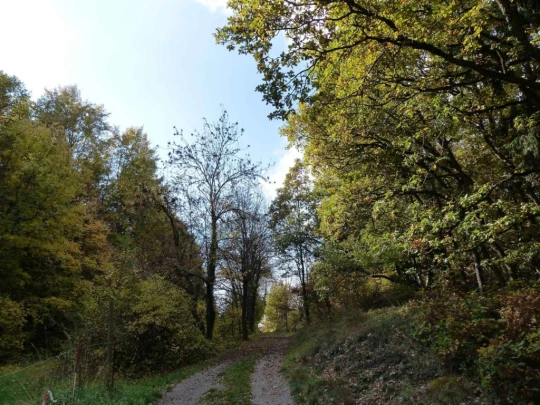 anzere.grimisuat-sion-123
