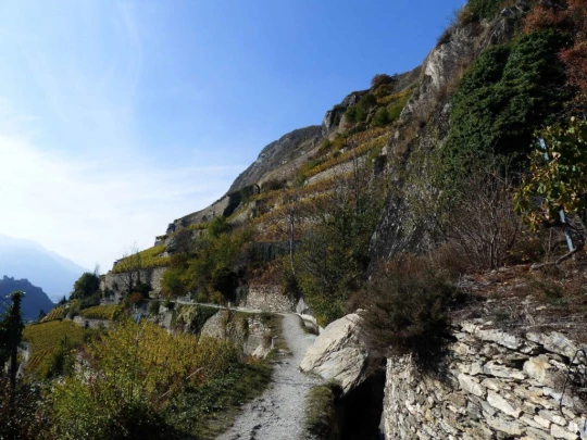 anzere.grimisuat-sion-133