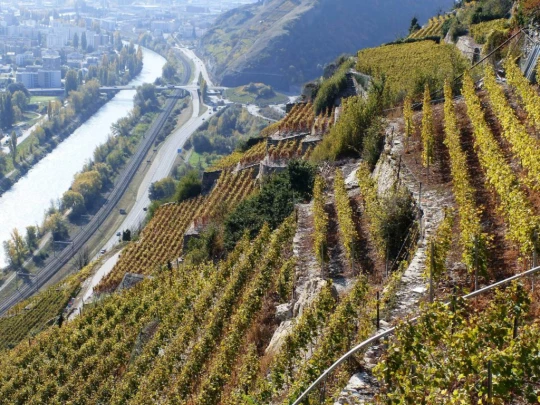 anzere.grimisuat-sion-135
