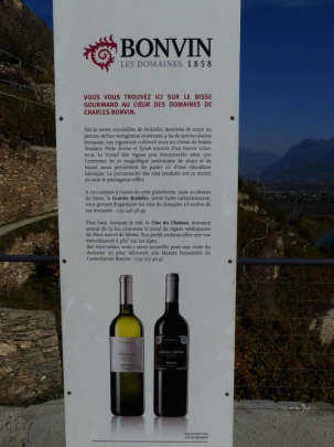 anzere.grimisuat-sion-145