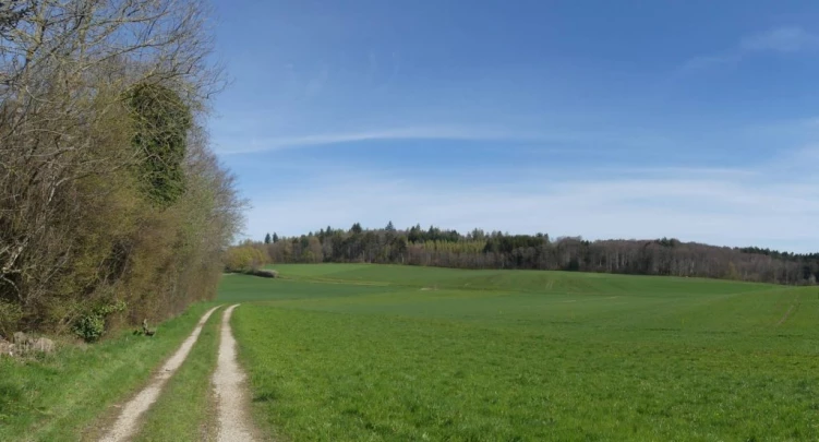 apples-en-fermens-apples-103