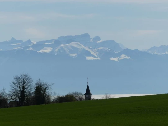 apples-en-fermens-apples-105