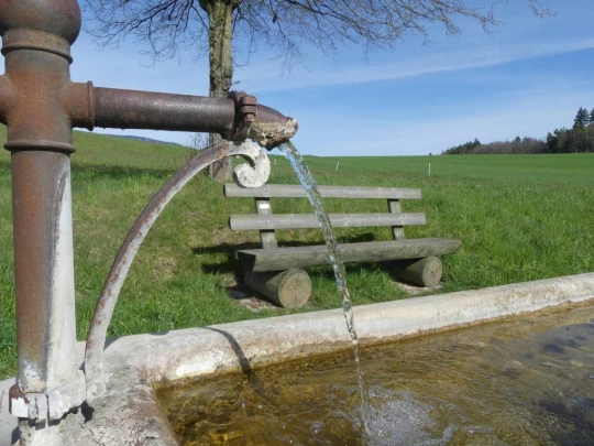 apples-en-fermens-apples-106