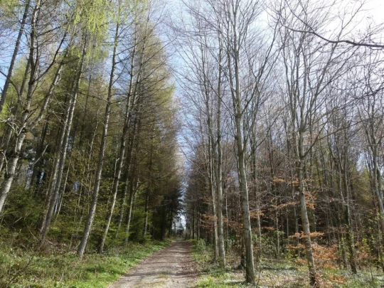 apples-en-fermens-apples-111