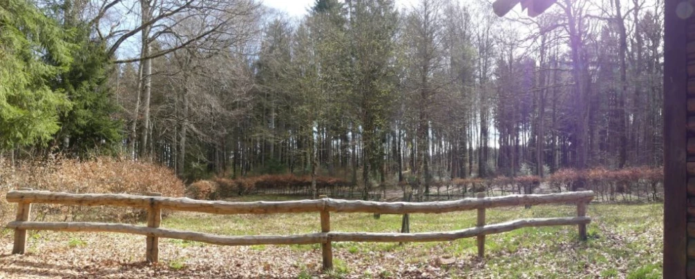 apples-en-fermens-apples-120