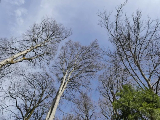 apples-en-fermens-apples-121