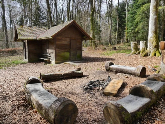 apples-en-fermens-apples-124