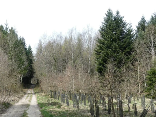 apples-en-fermens-apples-127