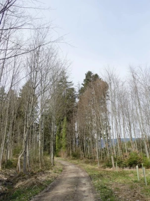 apples-en-fermens-apples-128