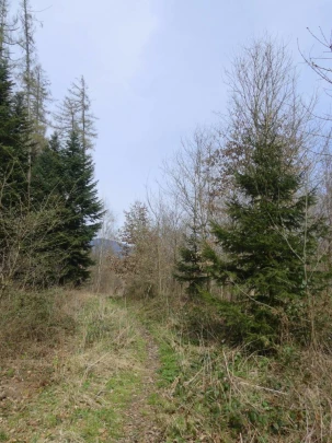 apples-en-fermens-apples-130