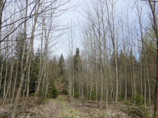 apples-en-fermens-apples-131