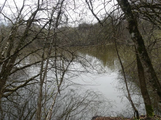 apples-en-fermens-apples-136