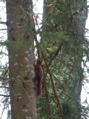 apples-en-fermens-apples-144