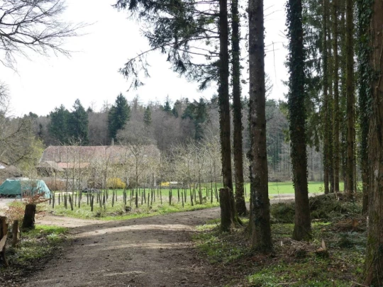 apples-en-fermens-apples-155