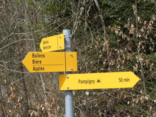 apples-en-fermens-apples-156