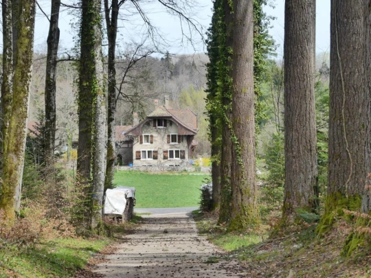 apples-en-fermens-apples-159