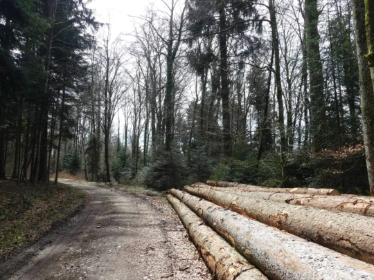 apples-en-fermens-apples-165