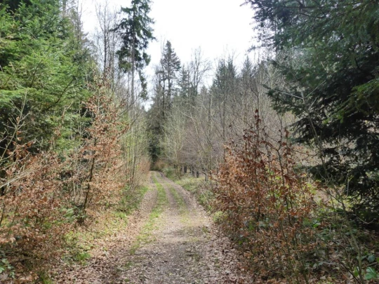 apples-en-fermens-apples-167