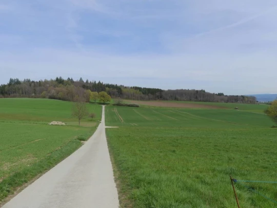 apples-en-fermens-apples-170