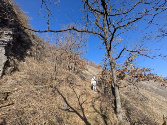 balavaud-le-six-du-gru-balavaud-109