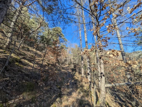 balavaud-le-six-du-gru-balavaud-113