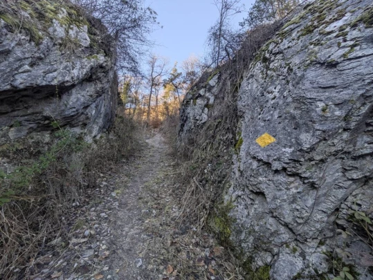 balavaud-le-six-du-gru-balavaud-115