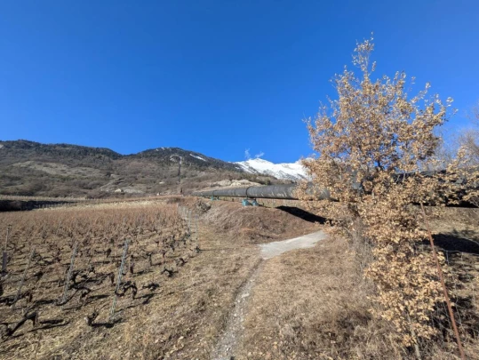 balavaud-le-six-du-gru-balavaud-120