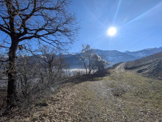 balavaud-le-six-du-gru-balavaud-121