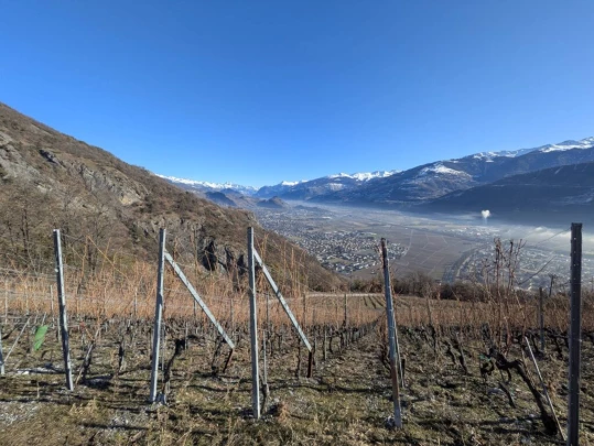 balavaud-le-six-du-gru-balavaud-122