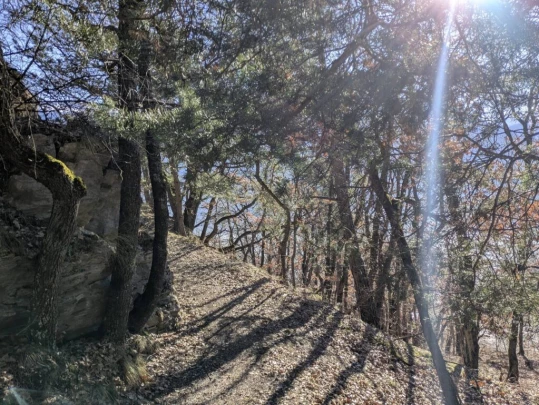 balavaud-le-six-du-gru-balavaud-126