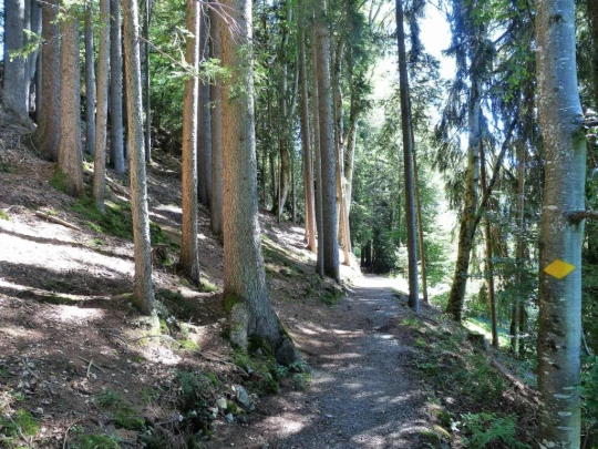 beatenberg-beatenbucht-114