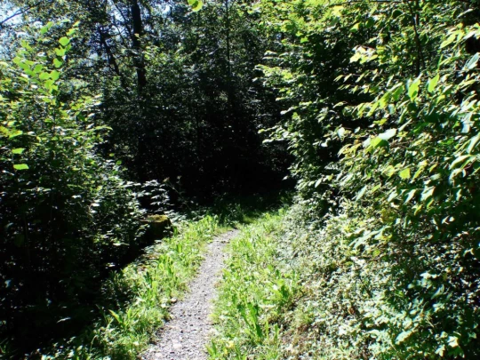 beatenberg-beatenbucht-126