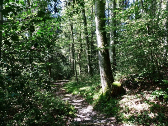 beatenberg-beatenbucht-129