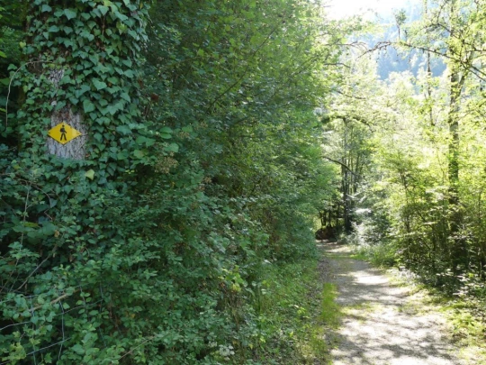 biaufond-la-chaux-de-fonds-115
