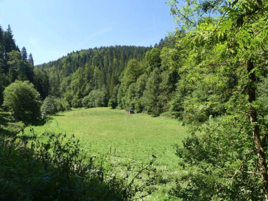 biaufond-la-chaux-de-fonds-174