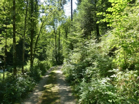biaufond-la-chaux-de-fonds-179