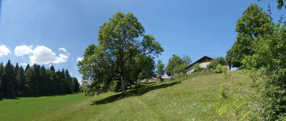 biaufond-la-chaux-de-fonds-194