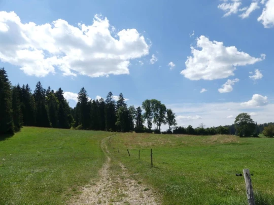 biaufond-la-chaux-de-fonds-199