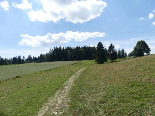biaufond-la-chaux-de-fonds-202