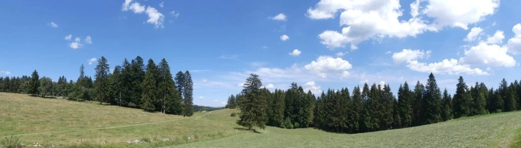 biaufond-la-chaux-de-fonds-204