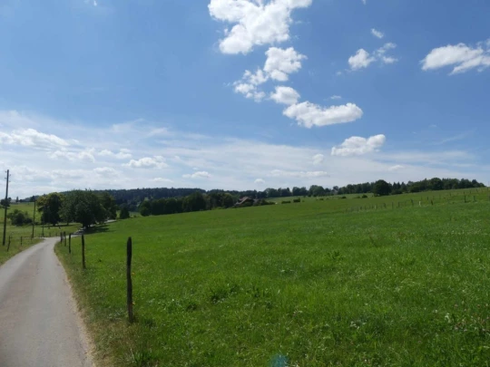 biaufond-la-chaux-de-fonds-210