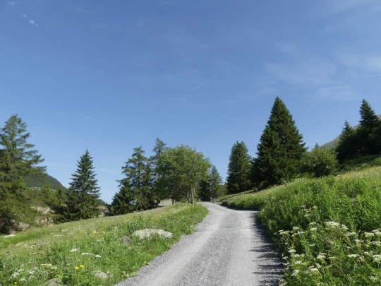 bourg-st-pierre-orsieres-105